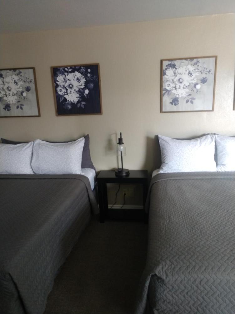 Standard Queen Room with Two Queen Beds interior